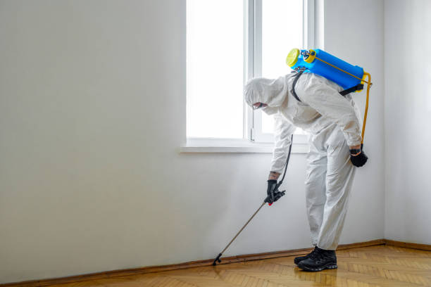 Best Wildlife Control Services  in Jackson, WY