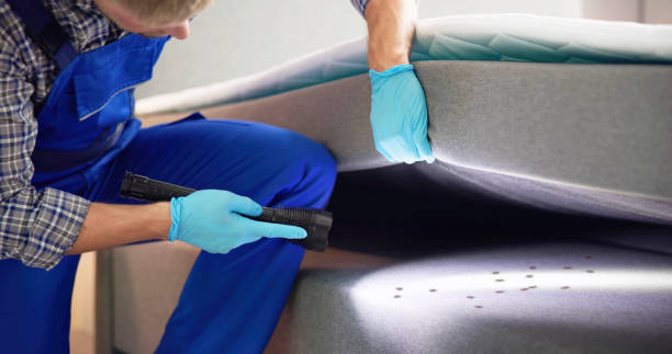Best Termite Control Services  in Jackson, WY
