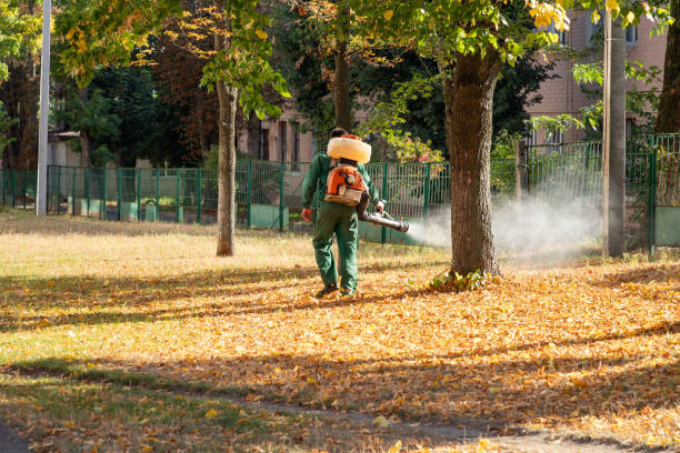 Best Rat Extermination Near Me  in Jackson, WY