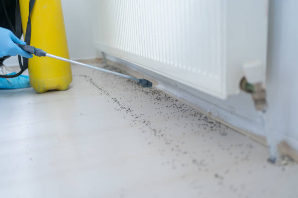 Best Bed Bug Extermination  in Jackson, WY