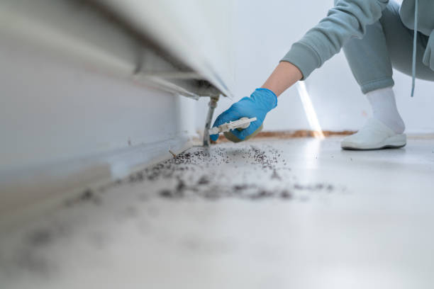 Best Pest Prevention Services  in Jackson, WY
